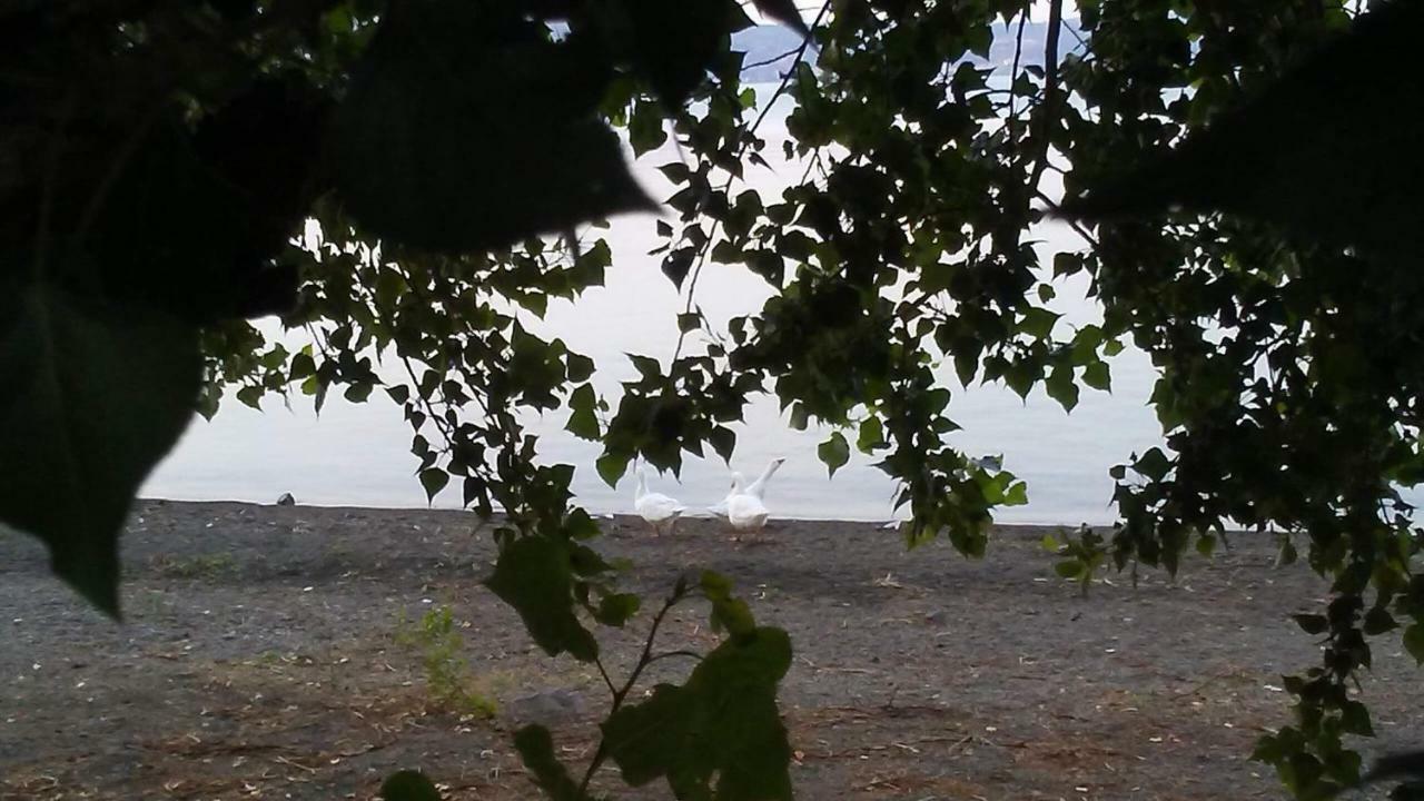 Alloggio Turistico D'Annunzio Bracciano  Exterior foto